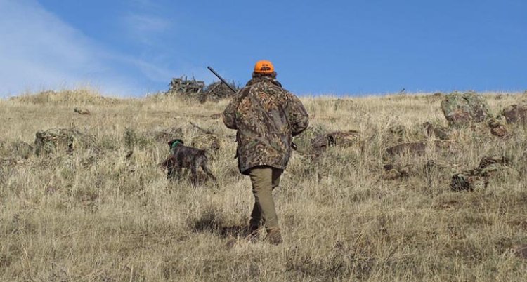 La temporada de caza en Castilla-La Mancha comienza con la media veda