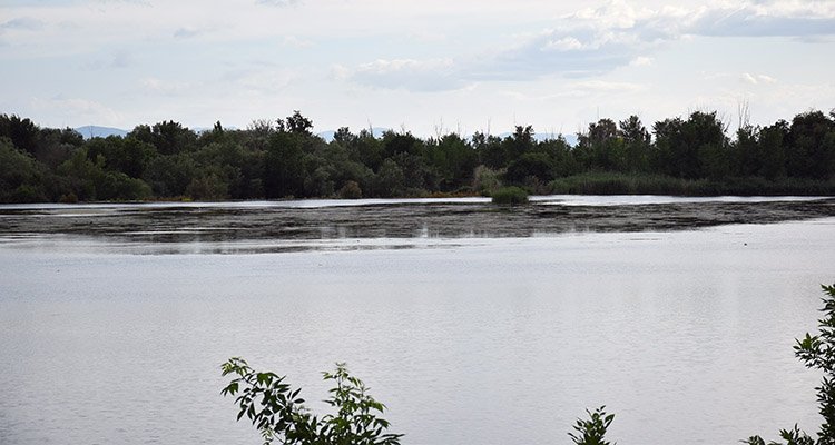 La Cátedra del Tajo ve insuficiente el plan hidrológico que se ha aprobado