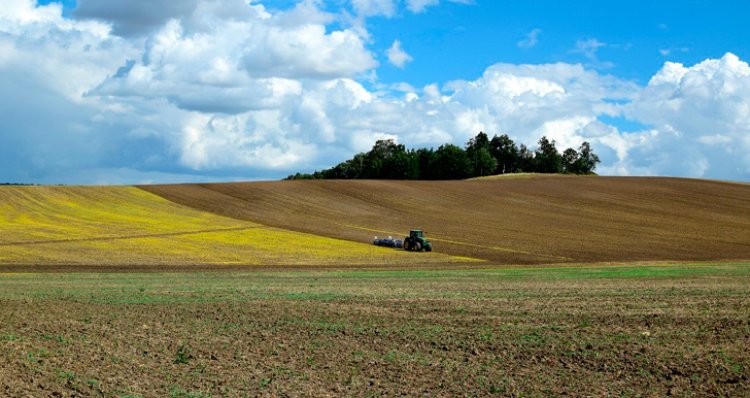 El Gobierno regional propone que las ayudas a la agricultura ecológica sean parte de la PAC