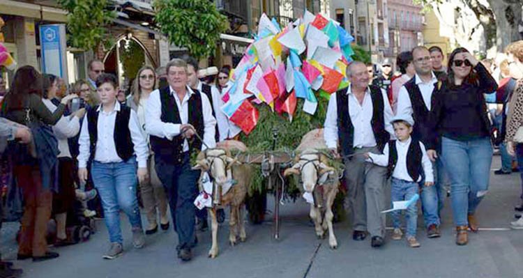 Los carneros de las Mondas de Talavera cumplen 92 años de tradición